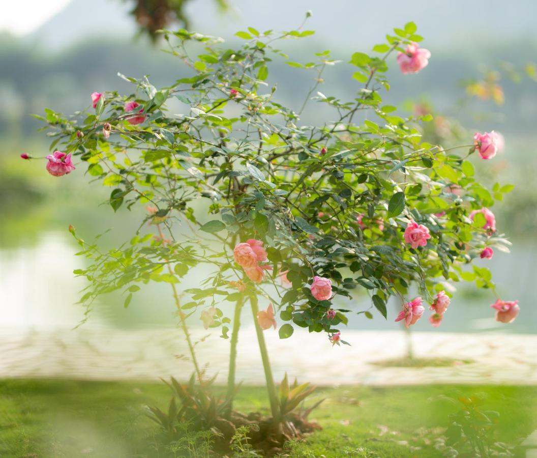 Serena Riverside - Trang An Homestay *