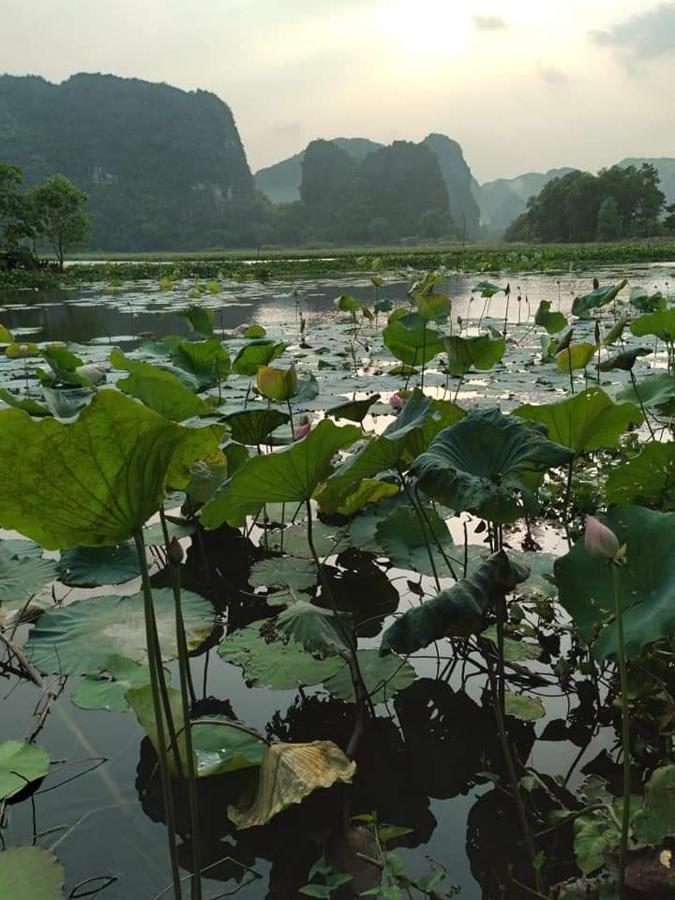 Serena Riverside - Trang An Ninh Binh